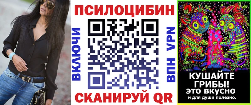 blacksprut зеркало  Спасск  Галлюциногенные грибы Psilocybe 